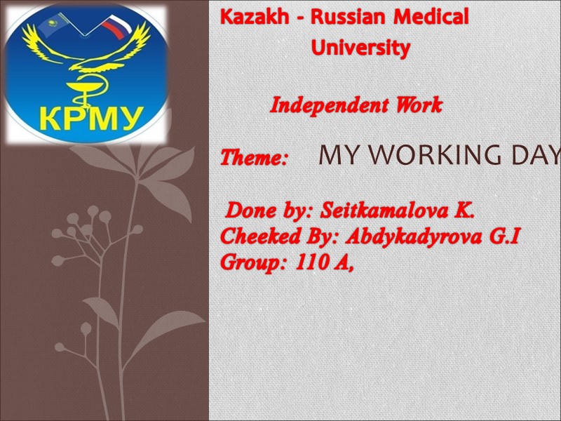 My working day Kazakh - Russian Medical       